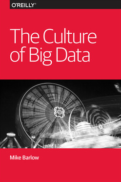 The Culture of Big Data